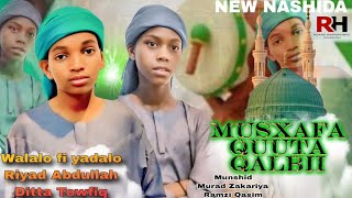 New Afaan Oromo Menzuma Nuura Makka By Riyadabdallaahhaafaarsinu 2025