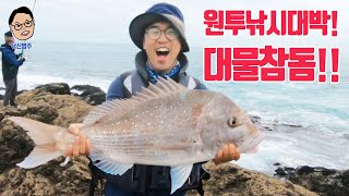 원투낚시 대박!! 원투에 대물참돔들이!! 비거리안나와도 대물이!! 원투낚시 끝판왕포인트!! 참돔낚시 줄무늬전갱이낚시, 대물참돔! 뉴질랜드낚시, 줄전갱이낚시 #원투낚시