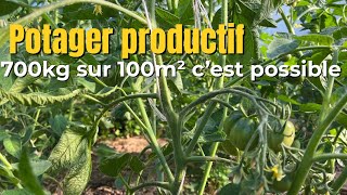 How to have a productive vegetable garden on 100m2 (700kg harvest)