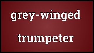 Grey-winged trumpeter Meaning