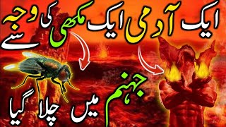 Aik Admin Makhi ki Waja Sy Jhanum Main Gya | A Man in hell