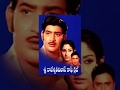 Sri Rajeswari Vilas Coffee Club Full Length Movies || Krishna, Jayapradha
