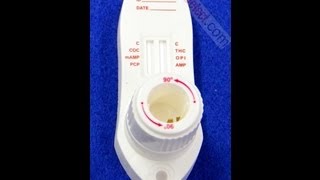 Oralert 6 Oral Drug Test Video Instructions (Procedure)