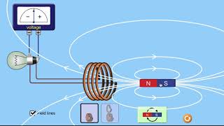 Faraday's Law with Phet