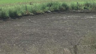 Manure Cleanup Continues