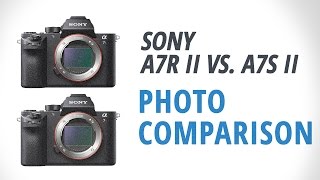 Sony a7R II vs. a7S II Part 1: Photography Comparison