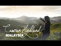 Cameron Highland in Malaysia | Vinny's Travel Story #malaysia #cameronhighland