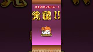 #にゃんこ大戦争  #にゃんま大戦争  #ゲーム  #ネコ極上 #進化 ついにネコ極上！#伸びろ#バズれ #おすすめ #おすすめにのりたい