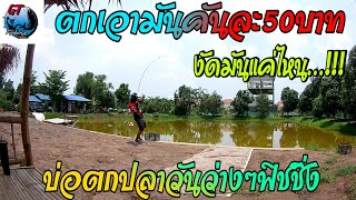 Ep.52​🦈 ตกเอามัน คันละ50บาท​ งัดมันแค่ไหน...!!! บ่อตกปลา​วัน​ว่าง​ๆ​ฟิชชิ่ง​