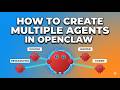 How to create Multiple Agents in OpenClaw