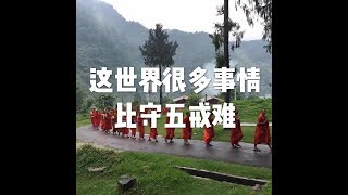 201801 这世界很多事情比守五戒难23101