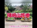 2022陽明山花季2 17 3 20粉嫩登場：浪漫櫻吹雪覆蓋山頭，美麗不輸日本 附賞花專車資訊 交通管制