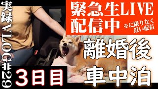 柴犬を連れて離婚後、家出して車中泊【vlog29】