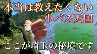 【バス釣り】埼玉の激アツ野池を紹介！東松山の小バス天国とは？