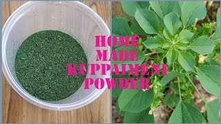 How to make kuppaimeni Powder முகத்தில் இருக்கும் மீசை முடி நீங்க குப்பைமேனிபொடி#Homeremedies