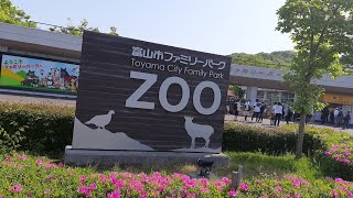 ようこそ 東口 入口 Toyama City Family Park ZOO 富山市 ファミリーパーク 39周年 開園記念日で入場無料 2023年4月28日