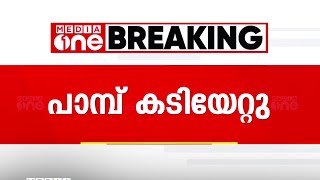 തിരുവനന്തപുരം പാലോട് ടാപ്പിങ് തൊഴിലാളിയെ പെരുമ്പാമ്പ് കടിച്ചു