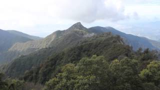 大雪山 11-6 稍來山瞭望台森林浴步道