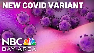 UCSF infectious disease specialist explains new COVID variants