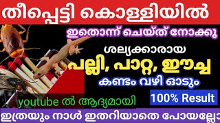 100%തീപ്പെട്ടി കൊള്ളി കൊണ്ടൊരു മാജിക്/പല്ലി പാറ്റ ഈച്ച എന്നിവയെ കണ്ടം വഴി ഓടിക്കാം /#Amnasmedia