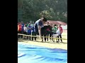 ishita rathi ball throw ⚾⚾ athletics meet ias training lbsnaa mussoorie videos shorts