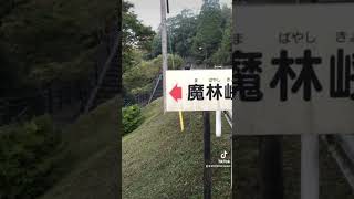 魔林峡を歩く　5年前にタイムスリップ 奥耶馬渓　山国町　中津市　大分県