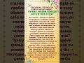 Так грустно что никто не ответил на этот вопрос нужна ли вам помощь Бога в 2025 году