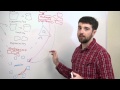 Using the Queue - Web Development