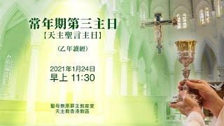 #直播彌撒【常年期第三主日 - 天主聖言主日】