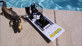 AquaCraft Mini Alligator Tours Airboat