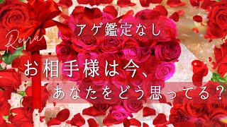 アゲ鑑定なし【お相手様は今、あなたをどう想ってる？】オラクルリーディング