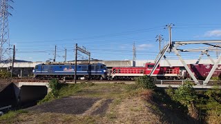 【2073ﾚを待つ】EF210-133＋ムドDD200-6　2024/12/05 山陽本線　芦田川橋梁　113系 227系