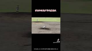 西日本短大付属高校（福岡）　#甲子園