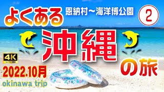 Japan 4K 🗾Japan travel guide [Trip to Okinawa②] View before coming to Japan‼ 😎