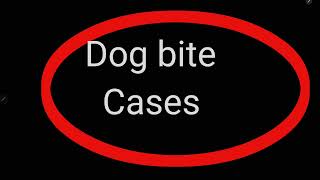 What to Do After a Dog Bite: Legal Rights \u0026 Immediate Actions Explained