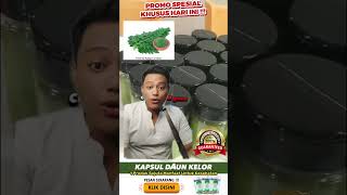 HERBALOR Dahsyatnya Manfaat Kapsul Daun Kelor