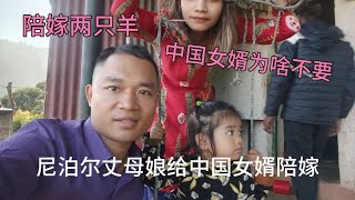 尼泊尔丈母娘给中国女婿陪嫁两只羊，中国女婿为啥不要