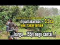 lahan ini memang luar biasa tanahnya.di jual cepat.lokasi-+1km dari jalan aspal.ketapang kalbar.