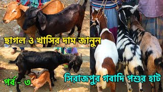 ছাগল ও খাসির দাম জানুন || পারাগ্রাম / শেরু মিয়া / সিরাজপুর হাট || Paragram Haat (পর্ব - ৩) (V - 54)