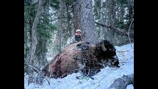 Above The Clouds: Once In A Lifetime Utah Archery Bison Hunt