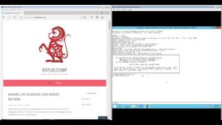 Windows live debugging using Windbg and Qemu
