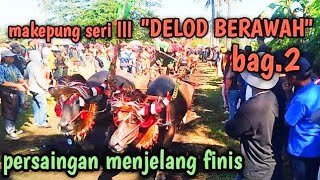 makepung delod berawah seri lll#terbaru #2023