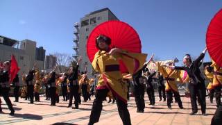 天狗ぅ（第14回浜松がんこ祭 浜よさ2014） 東街区 １日目