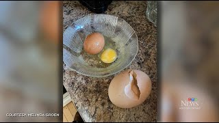 EGGSTRAORDINARY | Ontario chicken farmer discovers egg inside of another egg