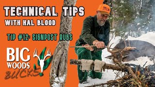 Technical Tips with Hal Blood | Tip #12: Signpost Rubs | Big Woods Bucks