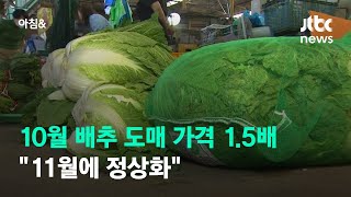 10월 배추 도매 가격 지난해 1.5배…\