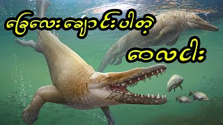 ခြေလေးချောင်းပါတဲ့ ဝေလငါး | Four Legged Whale