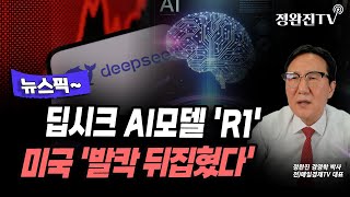 [뉴스픽] 딥시크 AI모델 'R1'... 미국 '발칵 뒤집혔다'