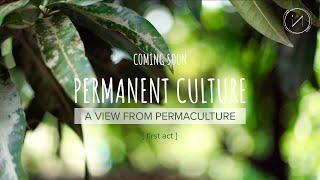 PERMANENT CULTURE - First Act | TRAILER