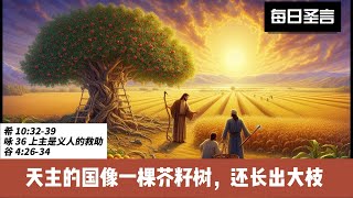 Daily Readings 每日圣言 2025年1月31日